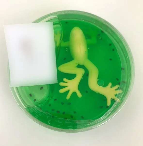 Melma del giocattolo «Green slime with frog» (Unknown)