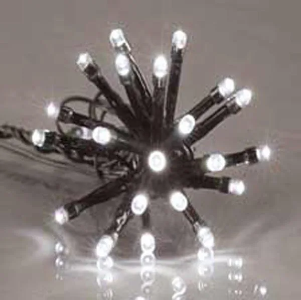 Catena di illuminazione «'GUIRLANDE LED 5 mm' ('5 mm-LED light chain')» — foto 2 dell'alert A12/0859/16