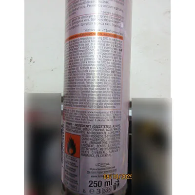 Spray per capelli «HAIR SPRAY STUDIO SILK A GLOSS» — foto 3 dell'alert SR/00056/26