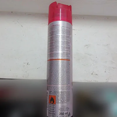 Spray per capelli «HAIR SPRAY STUDIO SILK A GLOSS» — foto 4 dell'alert SR/00056/26