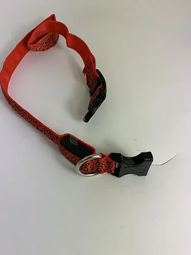 Collana per cani «Hundhalsband leopard» — foto 1 dell'alert INFO/00163/23