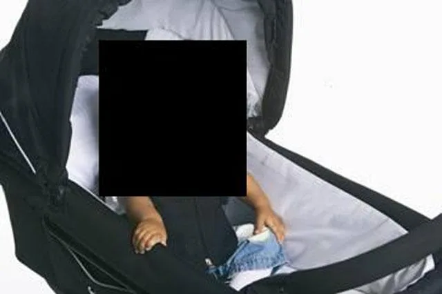 Imbracatura della carrozzina – Dan 2 — foto 2 dell'alert 0035/10