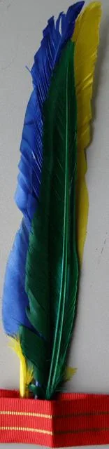 Parrucca vestito fantasia «Indian wig» (Widmann)