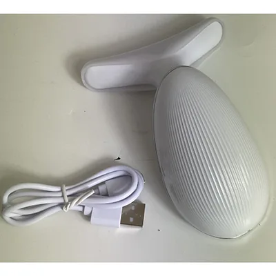 Strumento per massaggio elettrico «Intense pulsed light wrinkles reducing instrument» (Not specified)