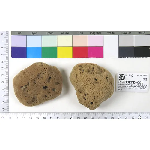 Spugne per la cura intima «Intimcare Sponges» — foto 4 dell'alert SR/03346/25