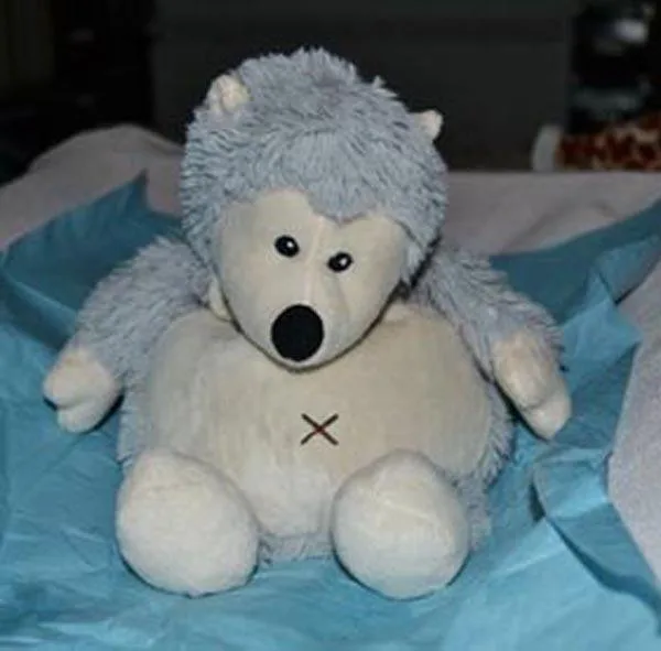 Riscaldatore di peluche «'Junior' and 'Cozy' hedgehog» (Intelex)