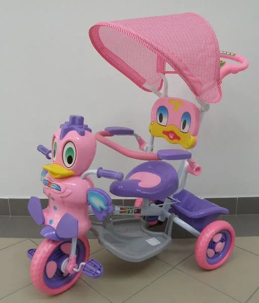 Triciclo «Kacsa tricikli rózsa» (Unknown)
