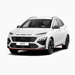 Autovettura «Kauai N (OS N) &amp; Santa Fé PE (TM PE)» (Hyundai)