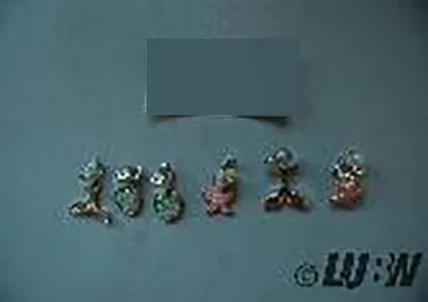 Set di gioielli «Kinderschmuck-Set für Mädchen» — foto 3 dell'alert INFO/00009/22