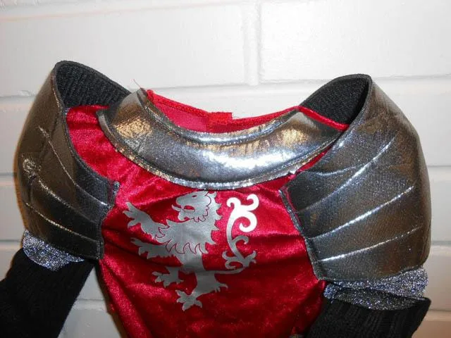 Costume da abito fantasia «Knights of the Realm» — foto 3 dell'alert A12/0502/14