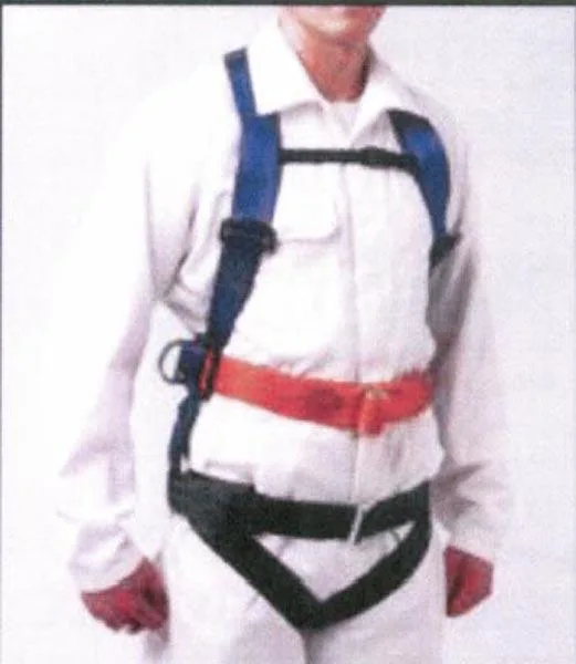 Imbracatura a corpo pieno «Kokovaljas» — foto 2 dell'alert A12/1709/16