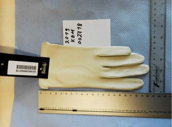 Guanti in pelle «Ladies’ summer gloves "Power Color"» (Roeckl)