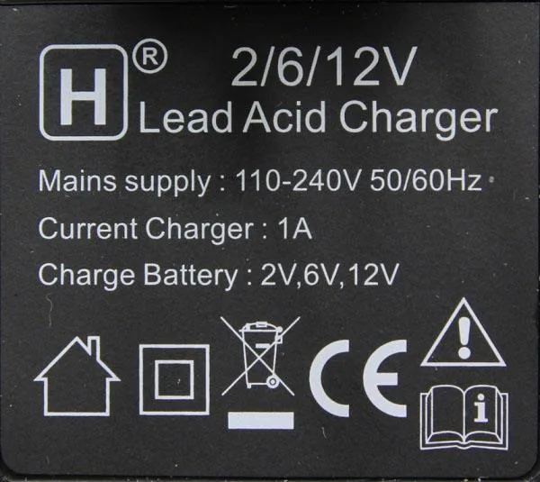 Caricabatterie «Lead acid charger» — foto 3 dell'alert A12/1867/17