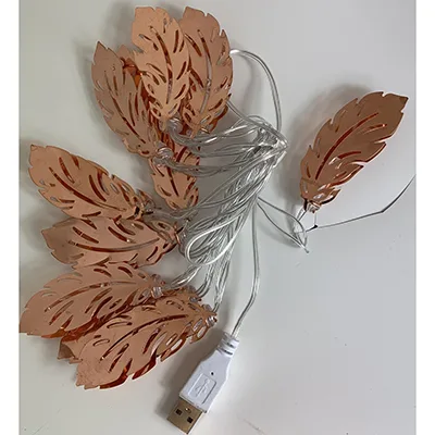 Luce a LED «LED light» — foto 1 dell'alert A12/02319/24
