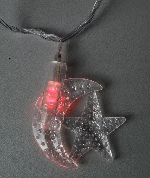 Catena di illuminazione «LED LIGHTS» — foto 3 dell'alert A12/0810/19