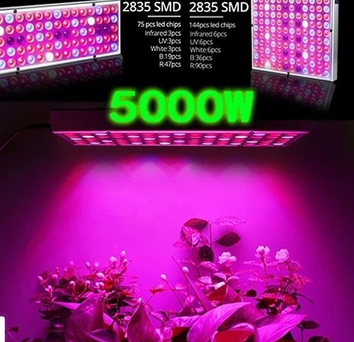 Pianta LED crescere luce «LED Plant Grow Light» — foto 3 dell'alert A12/00042/21