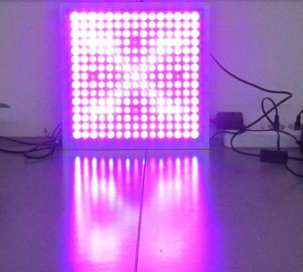 Luce dell'impianto del LED «LED PLANT GROW LIGHT» — foto 1 dell'alert A12/0678/17