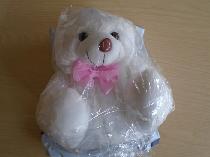 Giocattolo morbido «LED Teddy Bear»