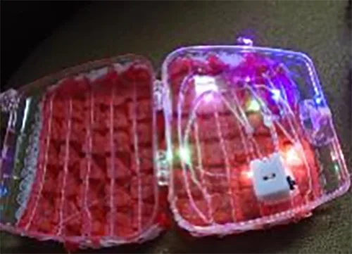 Borsa giocattolo «LED Toy Handbag» — foto 2 dell'alert INFO/00156/20