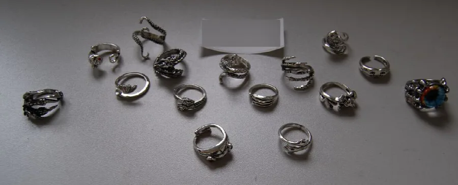 Set di anelli «LOLIAS 16 Stück Herren Ringe Vintage Punk Öffnung Ringe Octopus Frog Dragon Schlange Pun…» — foto 1 dell'alert INFO/00051/22