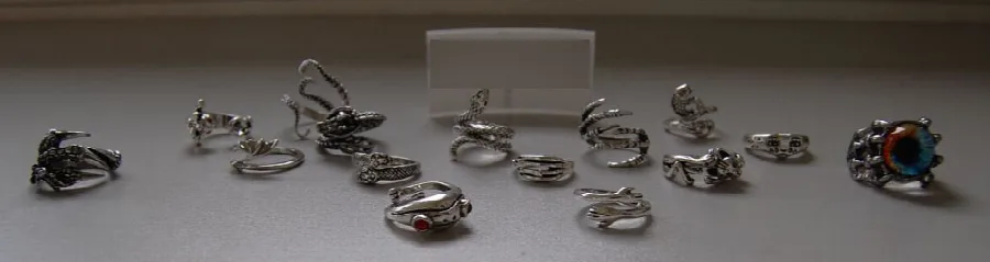 Set di anelli «LOLIAS 16 Stück Herren Ringe Vintage Punk Öffnung Ringe Octopus Frog Dragon Schlange Pun…» — foto 2 dell'alert INFO/00051/22