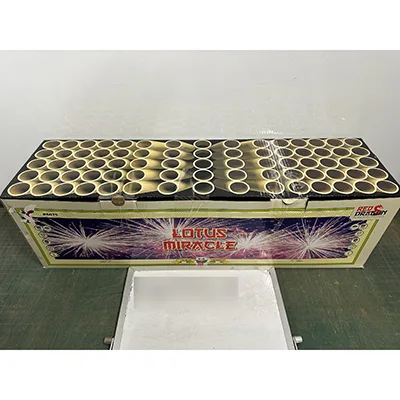 Fuochi d'artificio «Lotus Miracle» (Fireworks International B.V.)