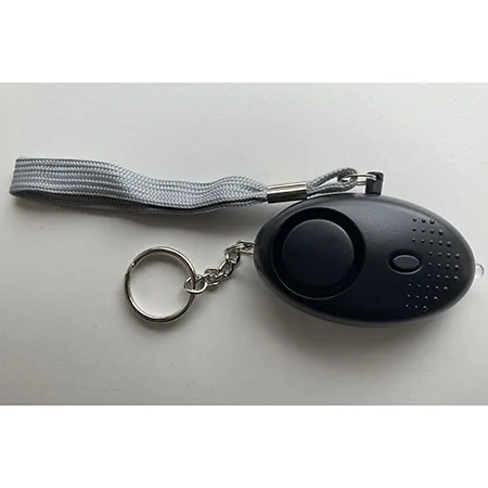 Allarme «Loud intruder alarm Högljutt överfallslarm» — foto 1 dell'alert A12/00174/24