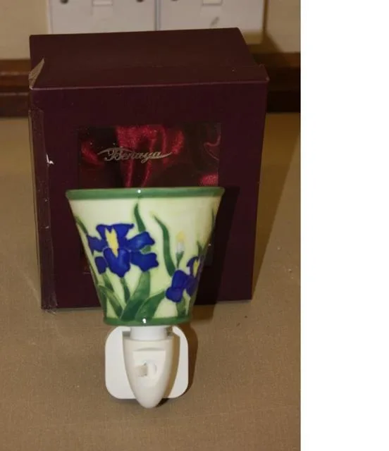 Luce notturna 4" Nightlight "Giverney" & #13; & #13; — foto 1 dell'alert 0384/11