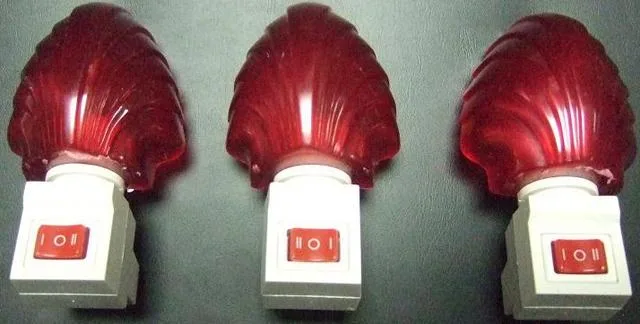 Luce notturna — foto 2 dell'alert 1473/10