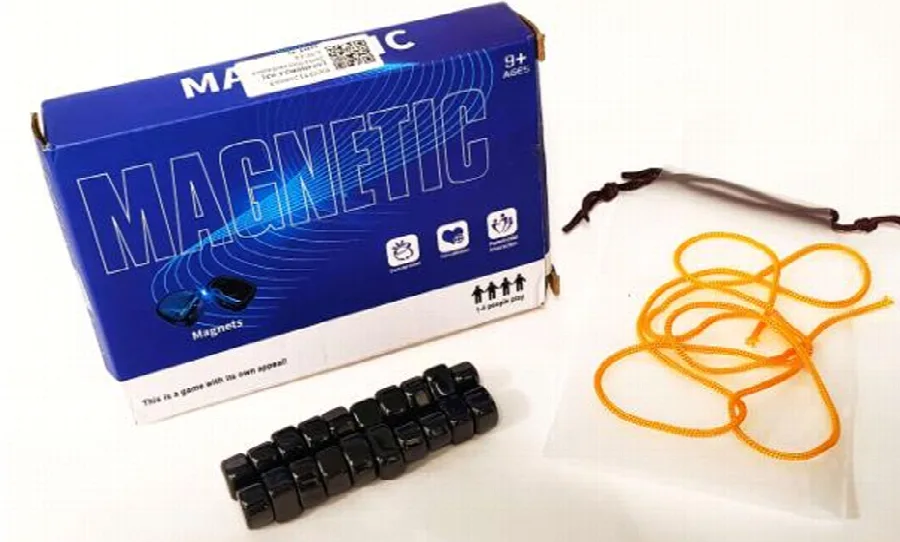 Giocattolo magnetico «MAGNETIC» (Goodak Co Ltd)