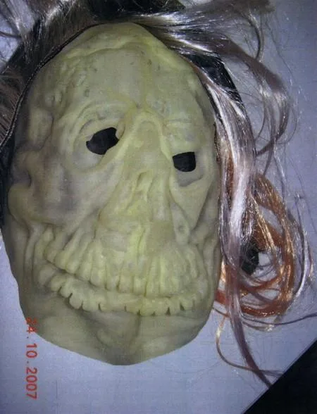 Maschera da vestito di fantasia (FLYGHT)