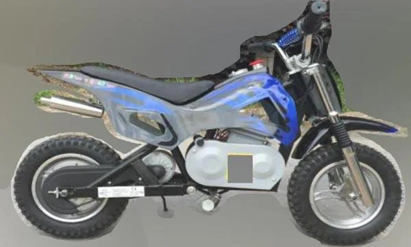 Mini motocicletta elettrica (Kid' zzz N' Quad' zzz)