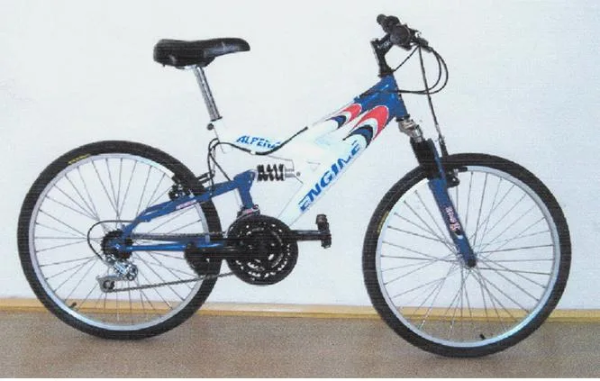 Motore Bicicletta Alpena MTB 24 — foto 1 dell'alert 0902/07