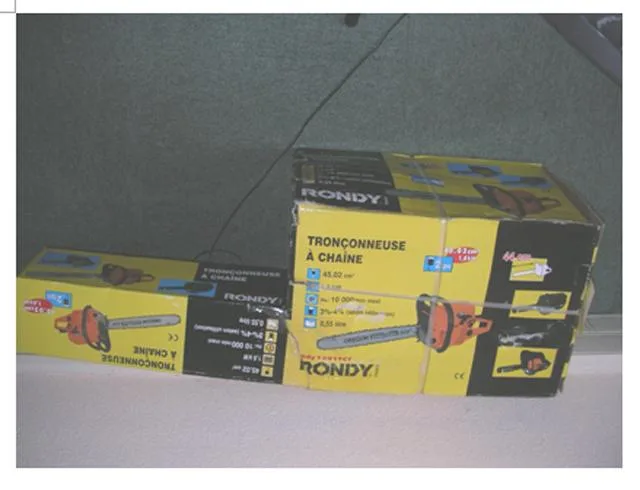 Motosega – tronçonneuse à Chaine — foto 1 dell'alert 0359/10