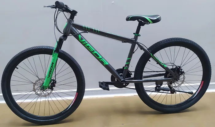 Bicicletta «Mountain bicycle» (Vigor)