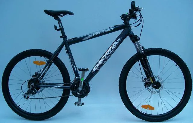Mountain bike – Passo Dema — foto 1 dell'alert 0505/10