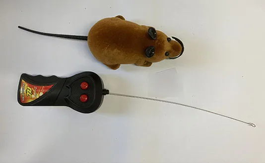 Mouse giocattolo con telecomando — foto 2 dell'alert A12/01699/23