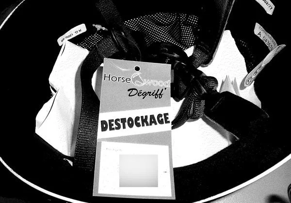 Casco equestre «New Dragon» — foto 1 dell'alert A12/0459/16