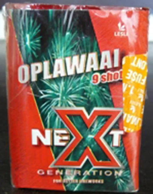 Fuochi d'artificio «Oplawaai» — foto 2 dell'alert A12/1439/13
