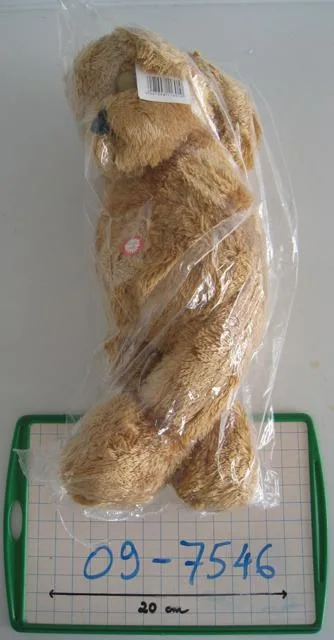 Orsacchiotto orsacchiotto (G. Wurm KG)