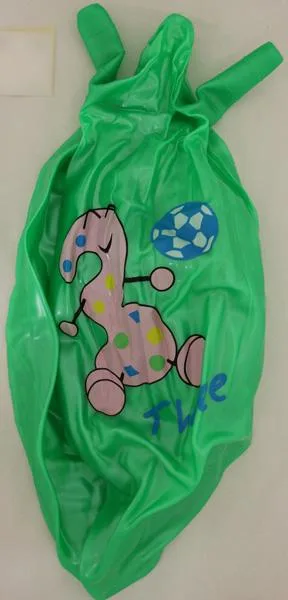 Palla di rimbalzo in plastica (Unknown)