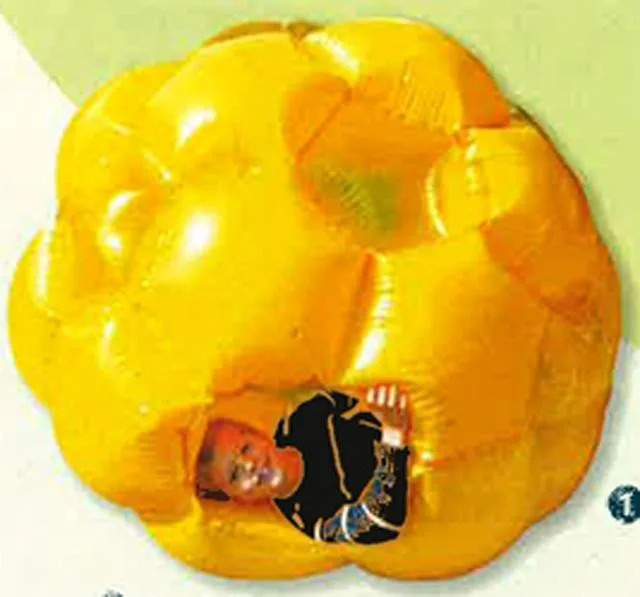 Palla grande "GIGA BALL LEXIBOOK" & #13; & #13; — foto 2 dell'alert 1114/11