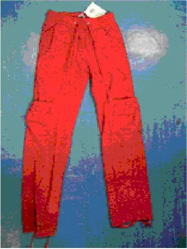 Pantaloni da ragazza (TEX)