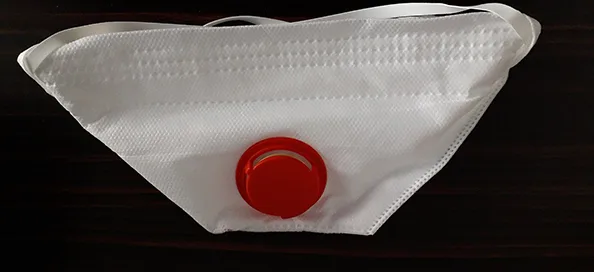 Maschera filtro particella «Particulate Respirator» — foto 4 dell'alert A12/00131/22