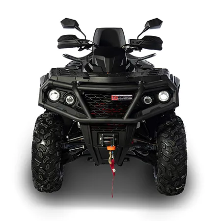 Veicolo fuoristrada «Pathcross: 650ATV, 800ATV, 1000ATV» — foto 1 dell'alert A12/01214/24