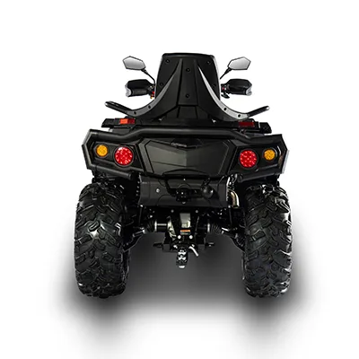 Veicolo fuoristrada «Pathcross: 650ATV, 800ATV, 1000ATV» — foto 3 dell'alert A12/01214/24