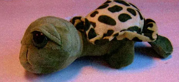 Peluche giocattolo