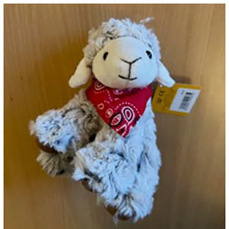 Peluche giocattolo (Jumi)