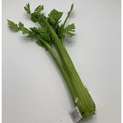 Decorazione in plastica «Plastic celery» (Mr Plant)