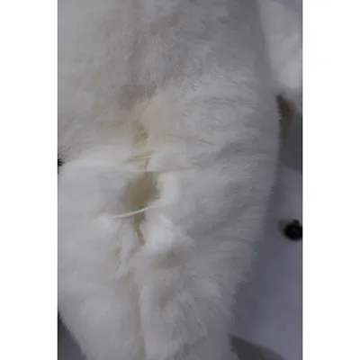 Peluche giocattolo «PLIŠANA IGRAČKA - DUPIN» — foto 4 dell'alert A11/00145/24